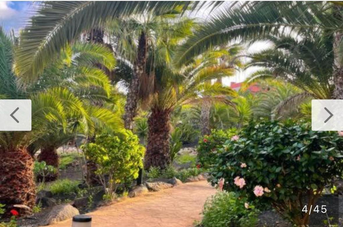 Apartament New Tamarindo La Ola Corralejo Zewnętrze zdjęcie